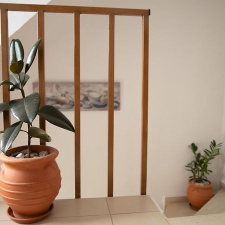 Nikorina Apts Lefkáda Exteriör bild